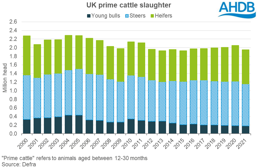 Graph showing UK prime cattle slaughter levels by cattle type 2000-2021